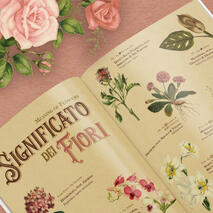 Fiori Zine Spread Teaser